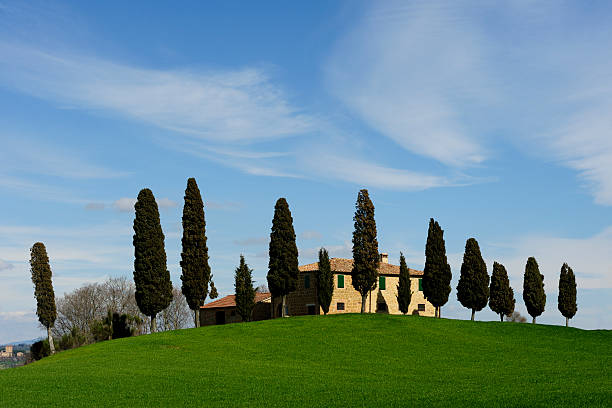 istock Farmehouse with cypress trees and misty sky, 176876224
