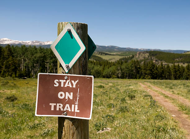 tour en quad sur paysage du wyoming - bighorn mountains photos et images de collection