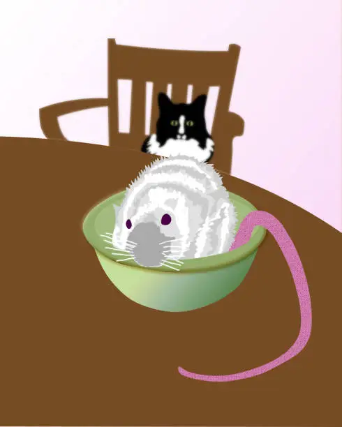 Vector illustration of Bowl of rat