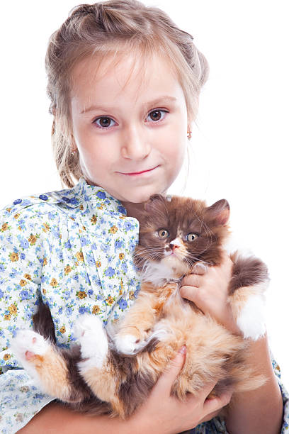 istock Girl gently embracing tortoise British kitten 176876382