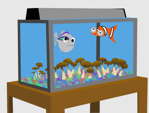 illustrations, cliparts, dessins animés et icônes de aquarium psychédélique - medium shot illustrations