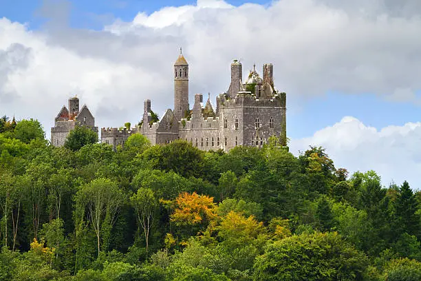 Photo of Dromore Castle atop a wooded hillside on a cloudy day