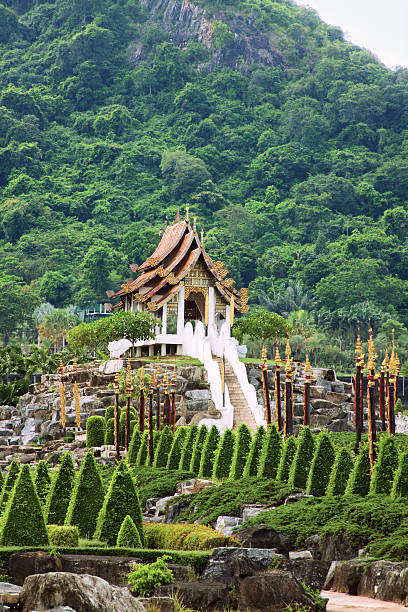 istock Tropical park Nong Nuch in Thailand. 176877680