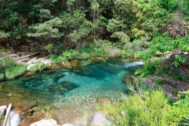 istock Beautiful pool formed by rocks and crystal clear water in the forest. 1768779711