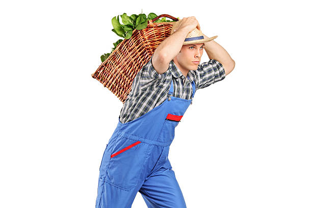 istock Farmer carrying a basket on his back 176878110