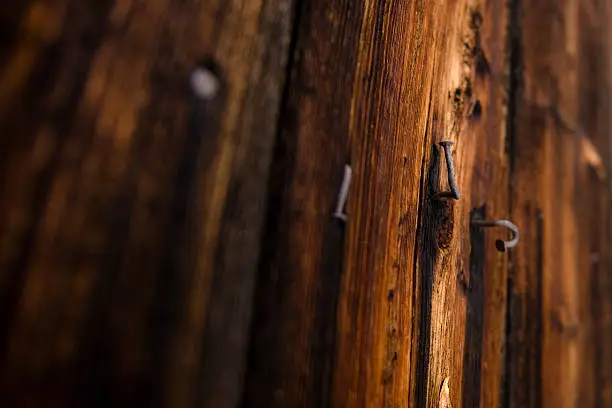 Weathered wood wall with old rusty nails.