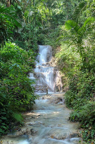 водопад - waterfall tropical rainforest water jamaica стоковые фото и изображения