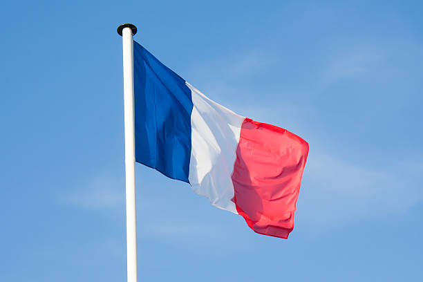 istock French Flag blowing in the wind 176879249