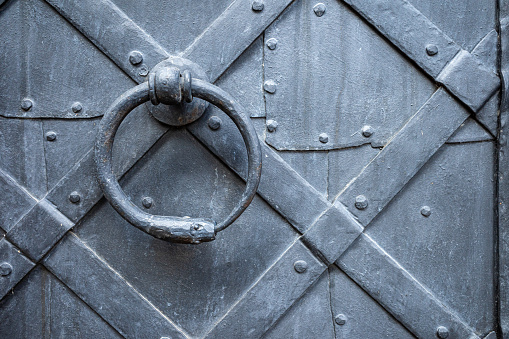 Detail of an old iron door, with a snake-shaped knocker eating its tai