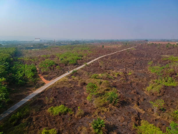 istock Drone view of forest fire scars. Tropical green forest in asia 1768800016