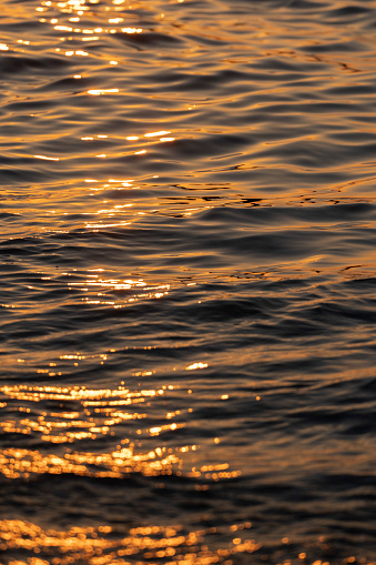 Ripple sea ocean water surface with golden sunset light. Sea waves close up
