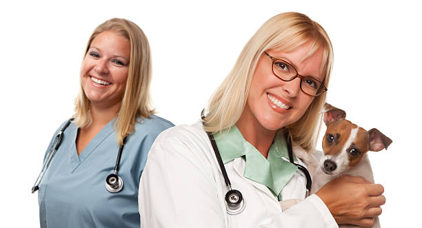 istock Female Veterinarian Doctors with Small Puppy 176880706