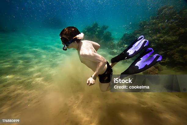 Snorkeler Do Mar Vermelho - Fotografias de stock e mais imagens de Abaixo - Abaixo, Adolescente, Adulto
