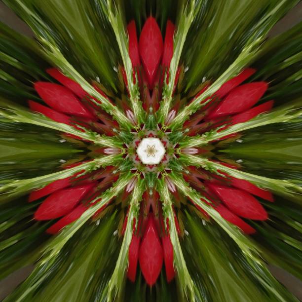 Abstract background made of vegetables, kaleidoscope, texture and pattern
