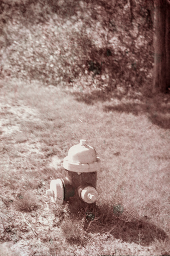Fire hydrant in Oak Bluffs, Martha's Vineyard.
