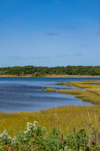 istock Farm Pond, Oak Bluffs, Martha's Vineyard 1768819996