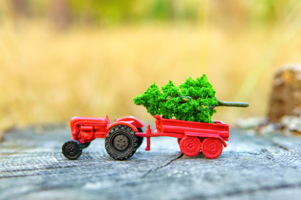 Toy Tractor with Mini Tree in a Forest Nook