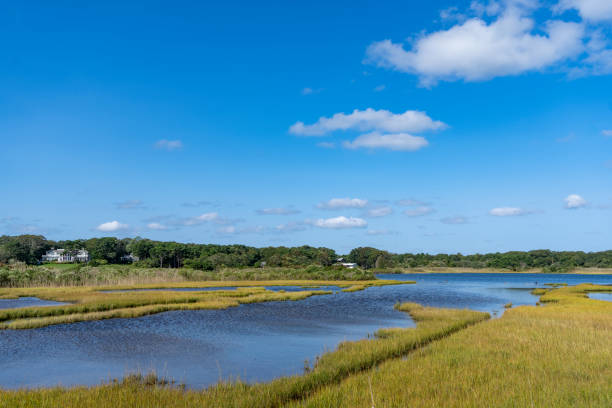 istock Farm Pond, Oak Bluffs, Martha's Vineyard 1768824410