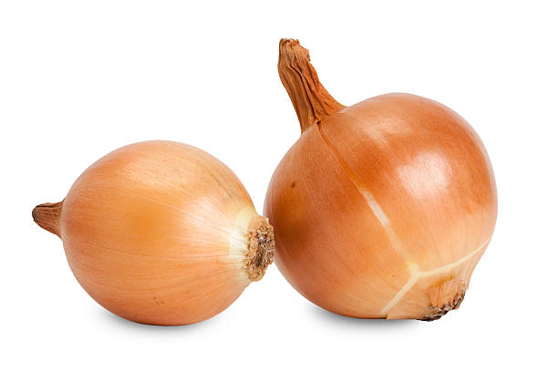 two onions isolated stock photo