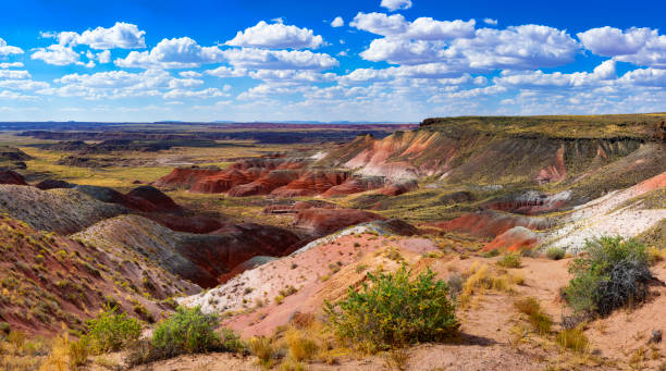 ペインテッド デザート国立公園 - petrified forest national park ストックフォトと画像