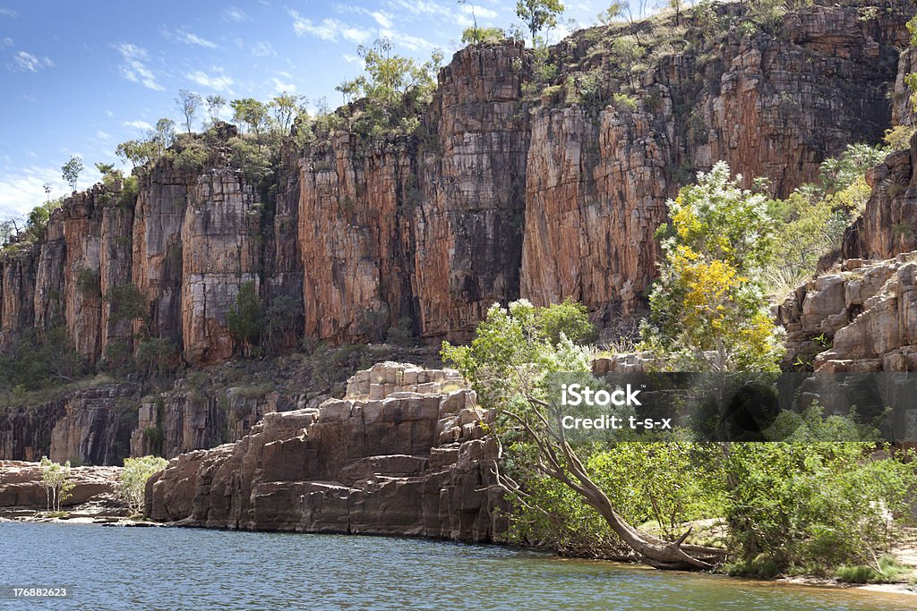 Árboles en la orilla del río - Foto de stock de Agua libre de derechos