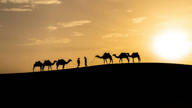 istock Silhouette of two Berber men leading camel caravans 1768827726