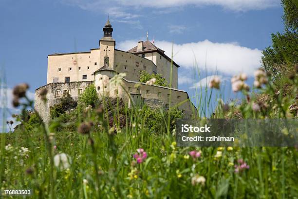 Schloss Tarasp Stockfoto und mehr Bilder von Alpen - Alpen, Baum, Berg