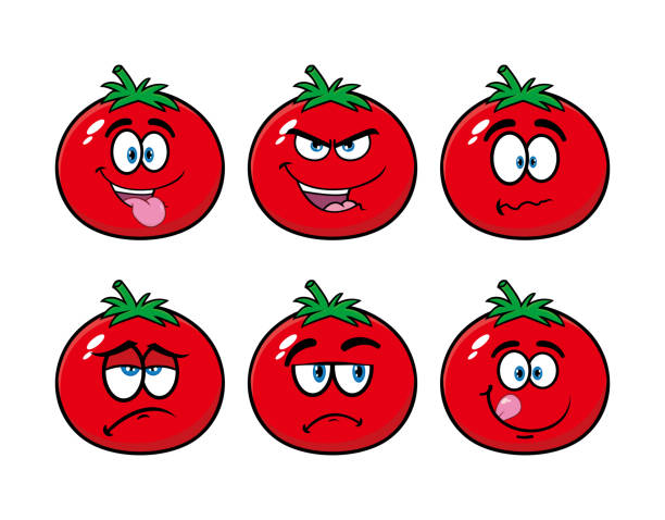 Set collection smiling tomato cartoon mascot character. Vector illustration isolated on white background Smiling tomato cartoon mascot character. Vector illustration isolated on white background tomato face stock illustrations