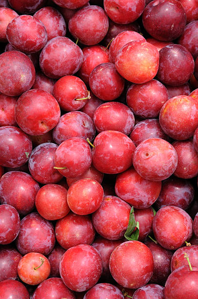 istock plum stall at the market 176883924