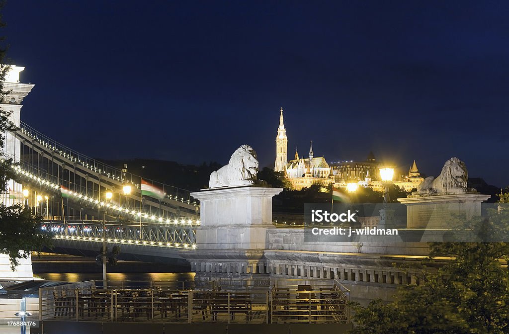 Vue de nuit sur le pont à chaînes Széchenyi - Photo de Arbre libre de droits