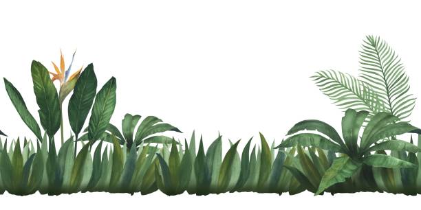 istock Watercolor illustration banner, frame or template composition of tropical leaves. Seamless print for children's wallpaper. Green tropical plants, hand drawn, isolated 1768850669