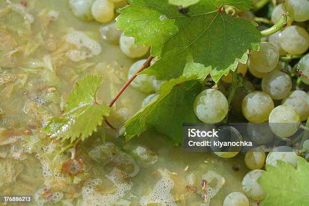 Domestic De Vinos Foto de stock y más banco de imágenes de Agricultura - Agricultura, Bodega de vino, Comidas y bebidas