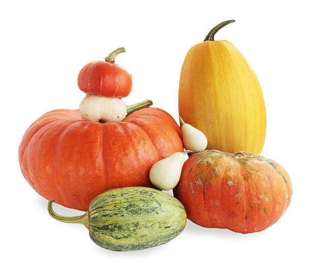 istock Pumkin family 176886315