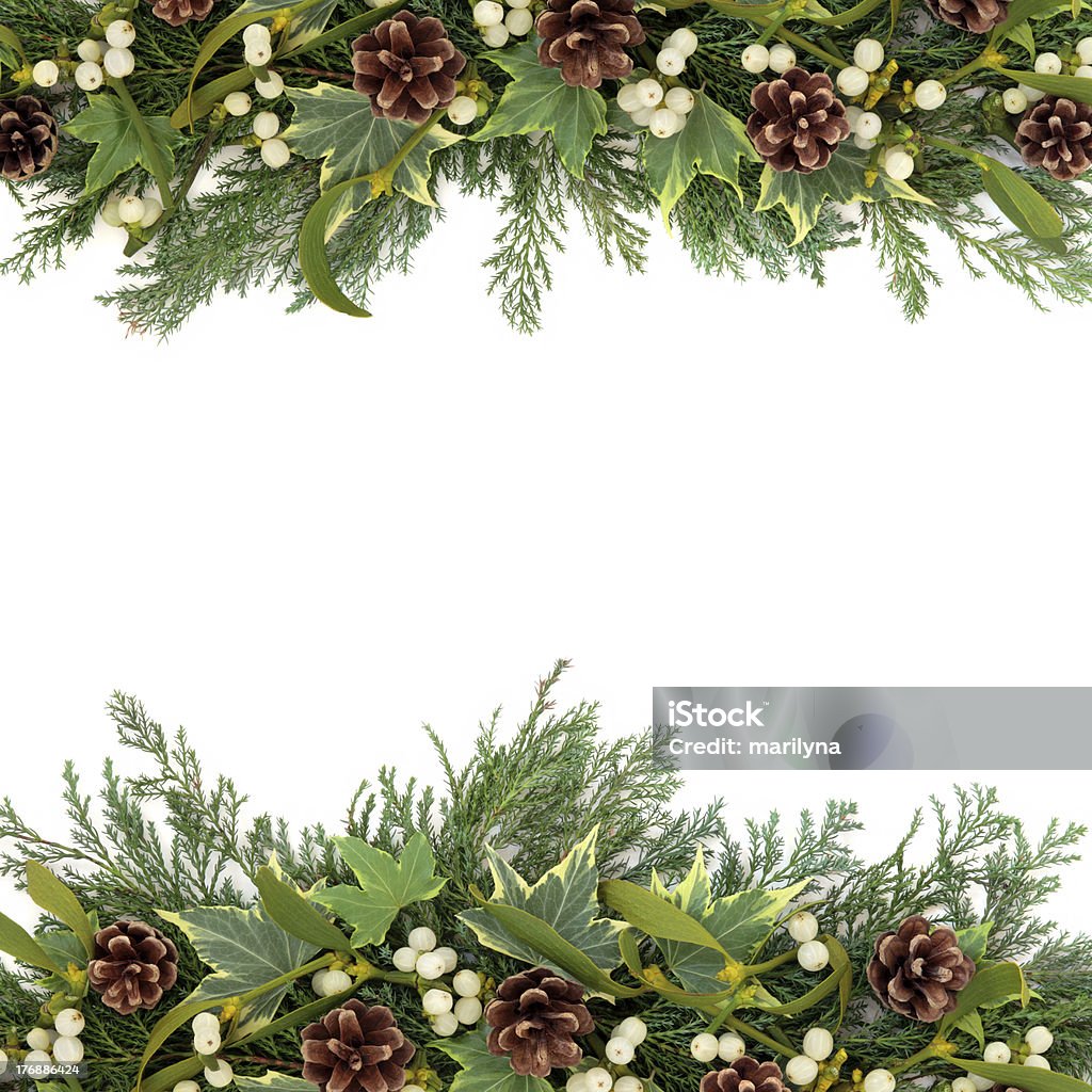Christmas Greenery Border Christmas floral border with mistletoe, ivy, pine cones and winter greenery over white background. Mistletoe Stock Photo