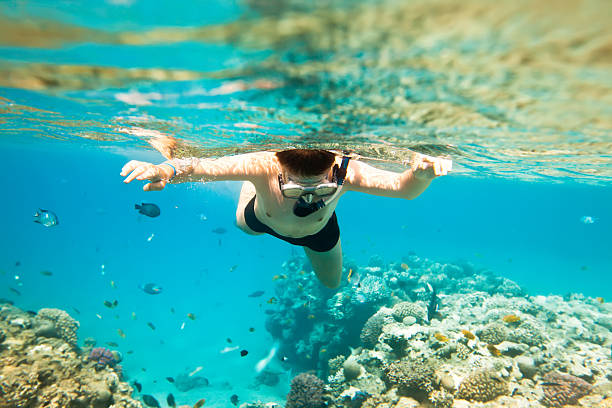 istock Snorkeler.  Red sea 176886483