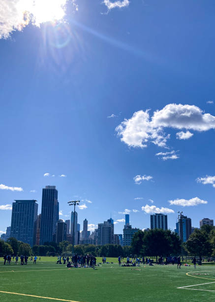 istock Skyscrapers of Chicago 1768871257