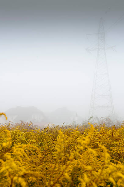istock Atumnal mist covering the town. 176887553