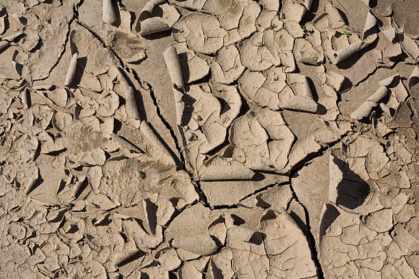 cracked soil stock photo