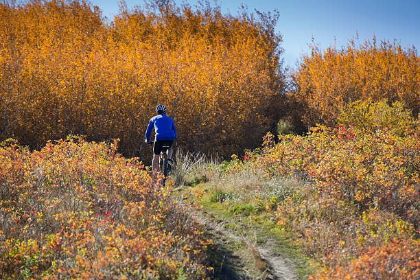 Autumn mountain biking stock photo