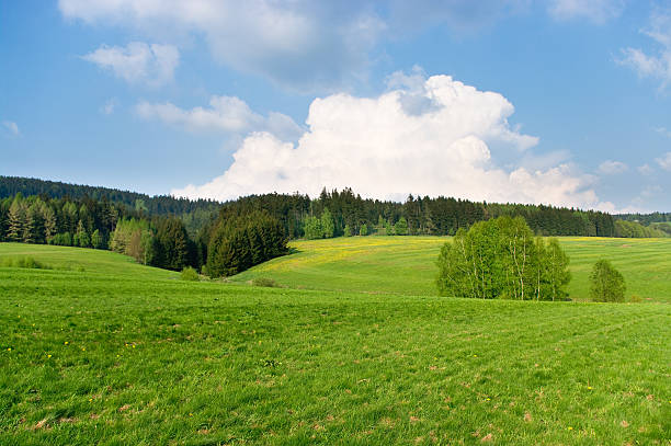 istock Spring landscape near the forest 176887962