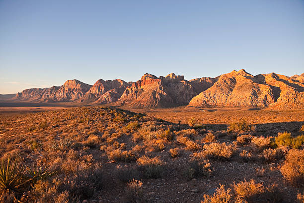 istock Red Rock National Conservation Area - Dawn 176889208