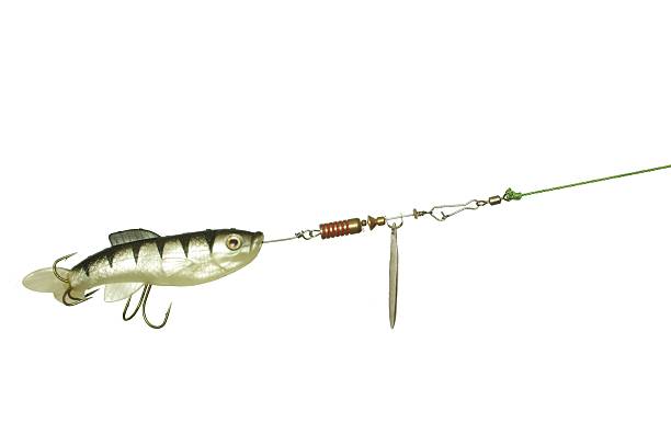 istock gum and metal angling bait 176890679