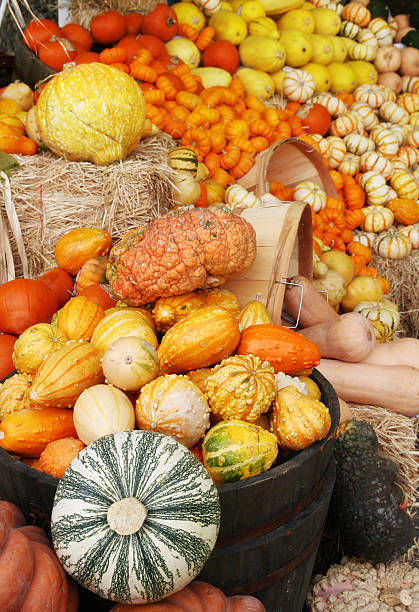 istock Autumn pumpkins and gourds display 176891180