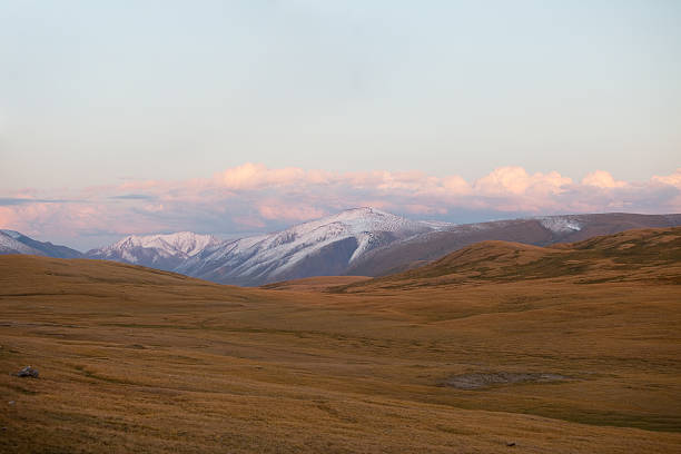 montagnes altaï. beau paysage de prairies. la russie. sibérie - remote alp snow glacier photos et images de collection