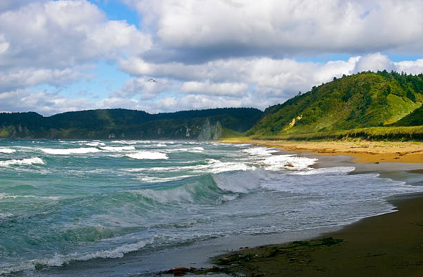 Tempestade do mar - foto de acervo