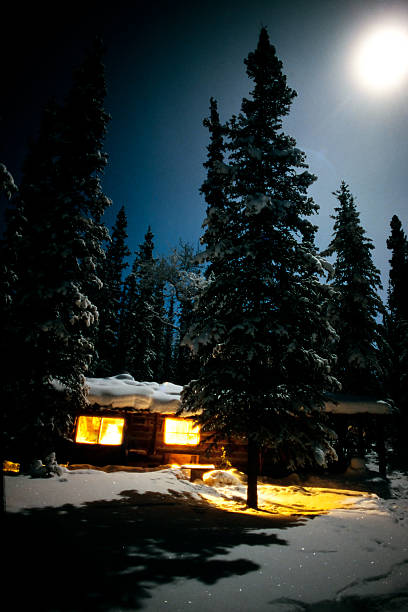 istock Cozy log cabin at moon-lit winter night 176892283