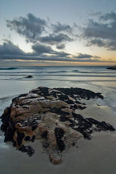 Cтоковое фото Каменистая пляж с Выразительное небо