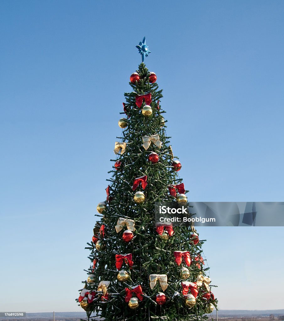 Рождественская елка на фоне неба. - Стоковые фото Без людей роялти-фри