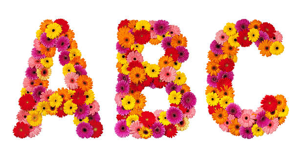 Letter A B C Flower Alphabet Isolated On White Stock Photo - Download Image  Now - Flower, Alphabet, Letter A - iStock