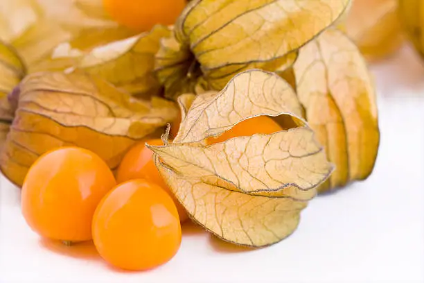 "Fresh small physalis on white background, jam-berry fruits"